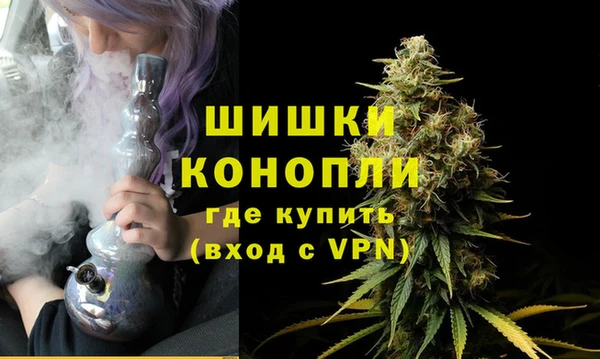 PSILOCYBIN Горнозаводск