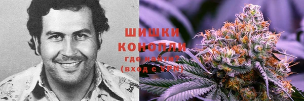 тгк Кукмор