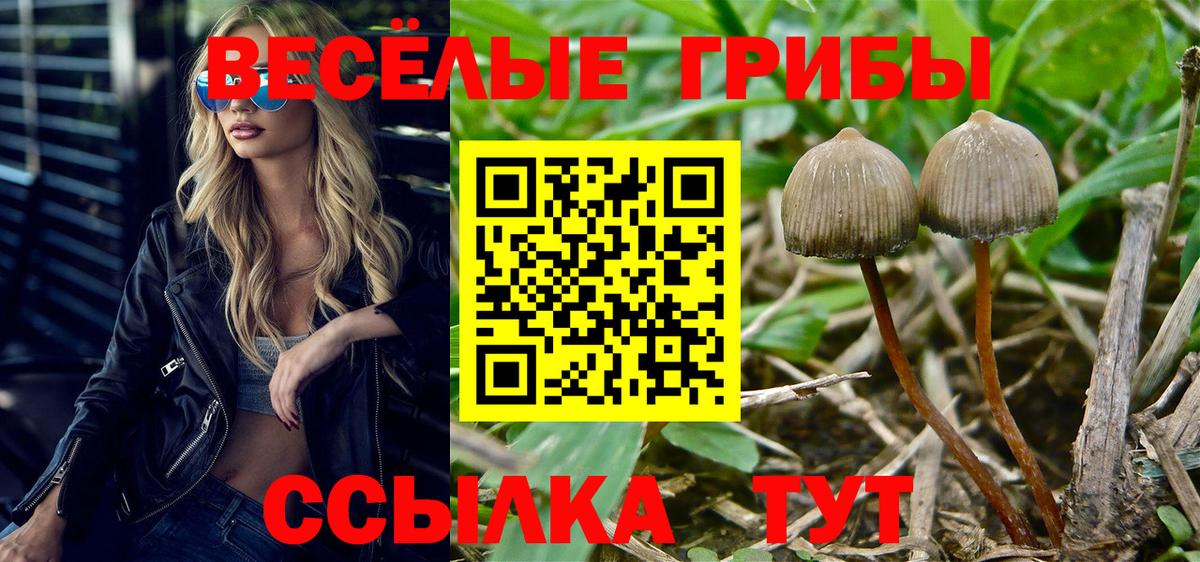 Галлюциногенные грибы прущие грибы  Вход с VPN  Апшеронск 