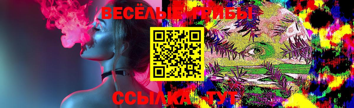 Галлюциногенные грибы Psilocybe Апшеронск