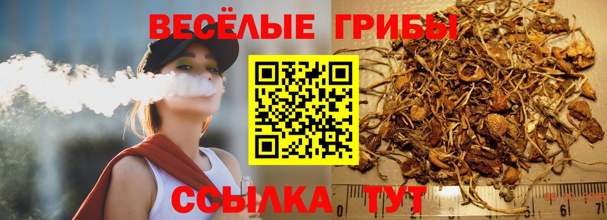 Галлюциногенные грибы мицелий Апшеронск